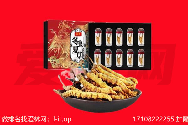 施甸县回收虫草.jpg